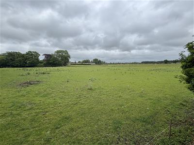 Picture 12